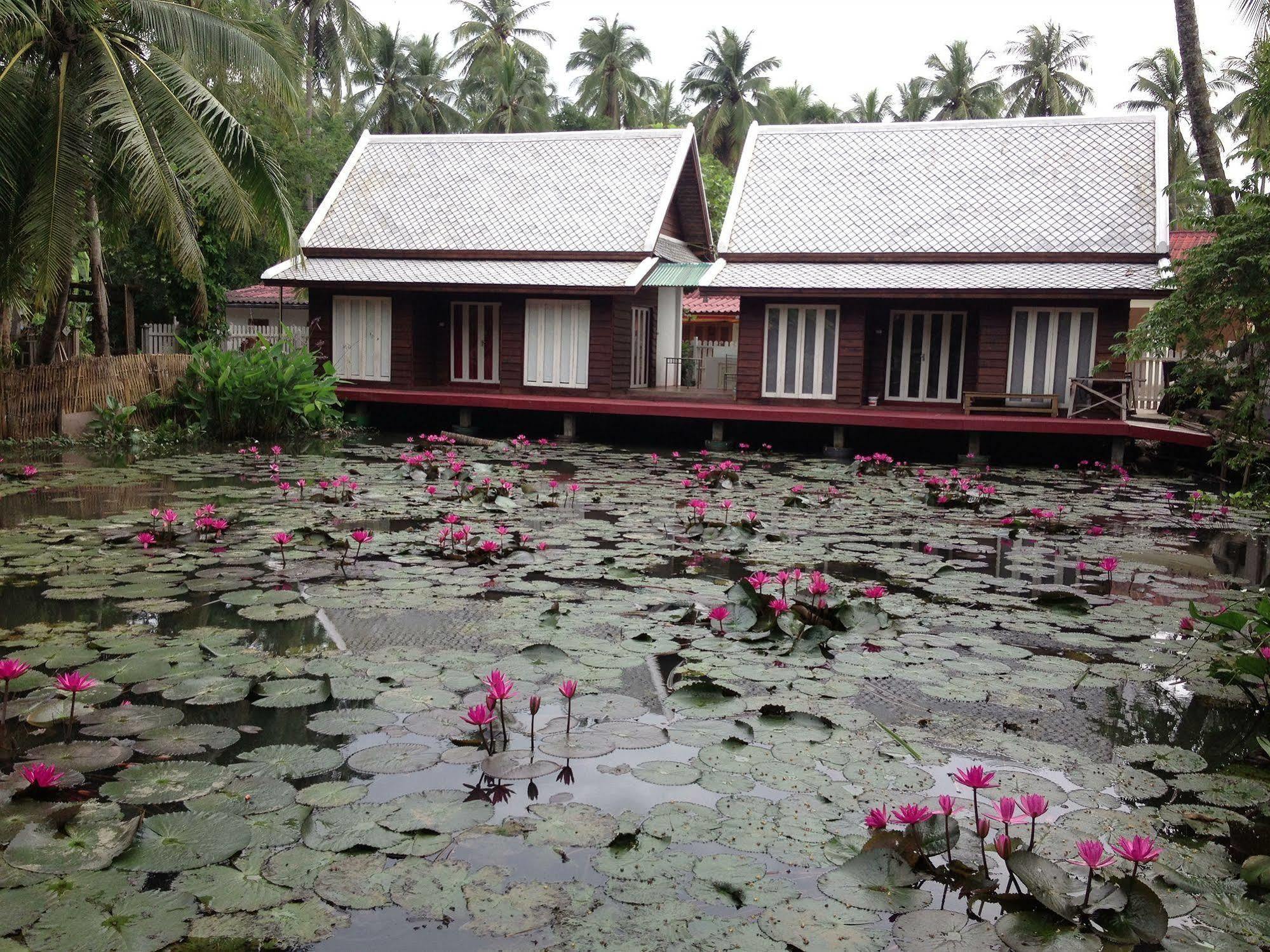 Luang Prabang Oasis Hotel Экстерьер фото